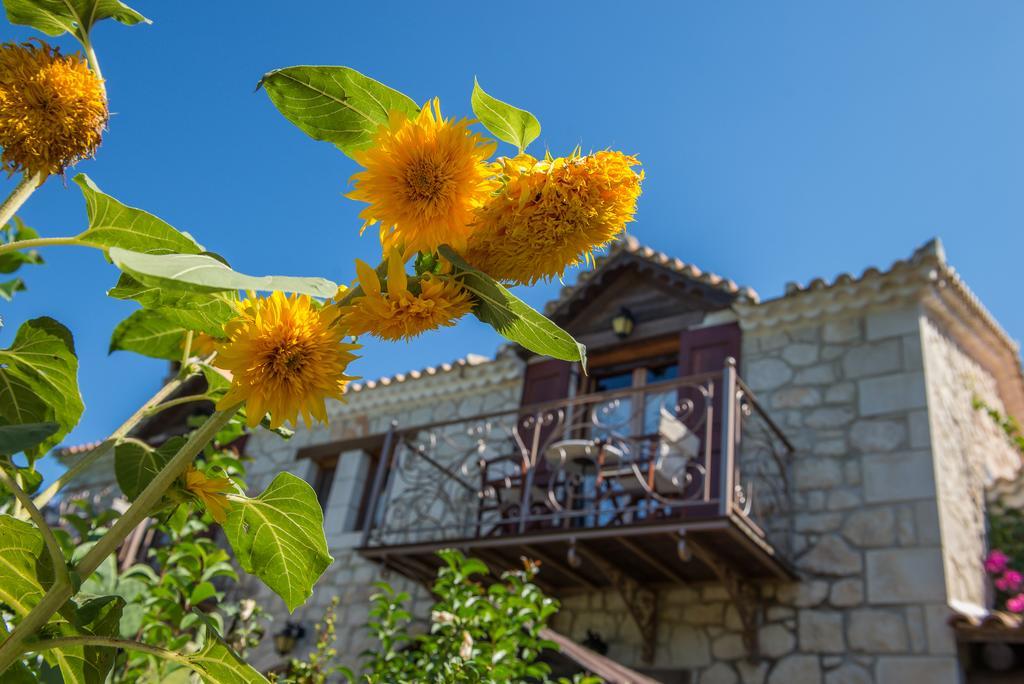 Gasthaus Ktima Kourou Plános Zimmer foto